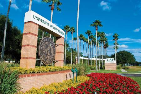 University of South Florida at Tampa (2)