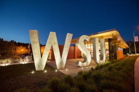 Washington State University INTO (3)